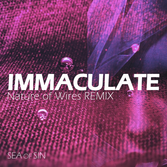 Couverture de Immaculate