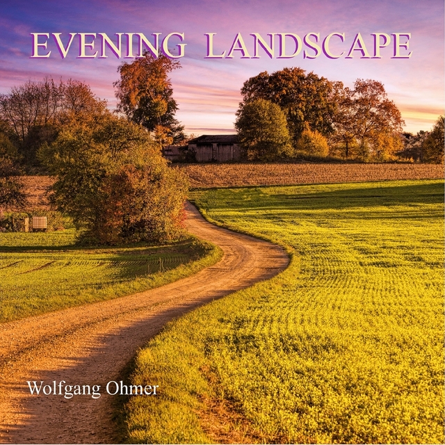 Couverture de Evening Landscape
