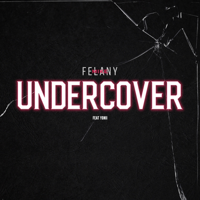 Couverture de Undercover