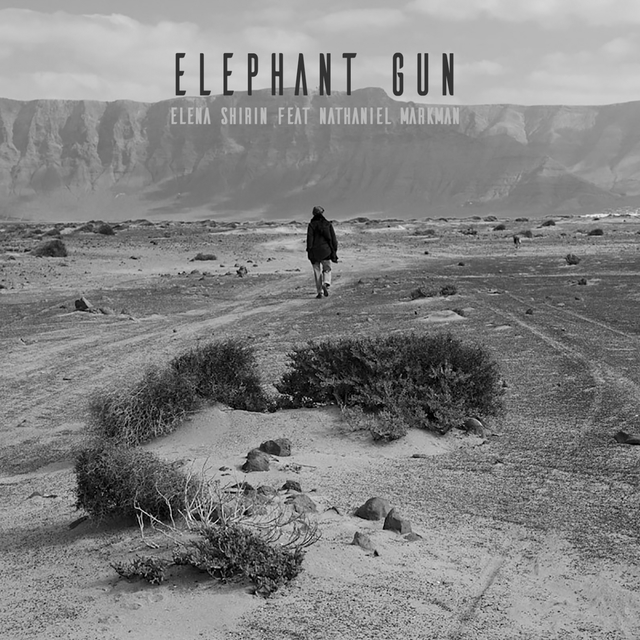 Couverture de Elephant Gun