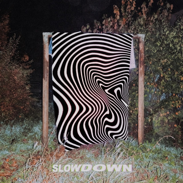 Couverture de slowdown