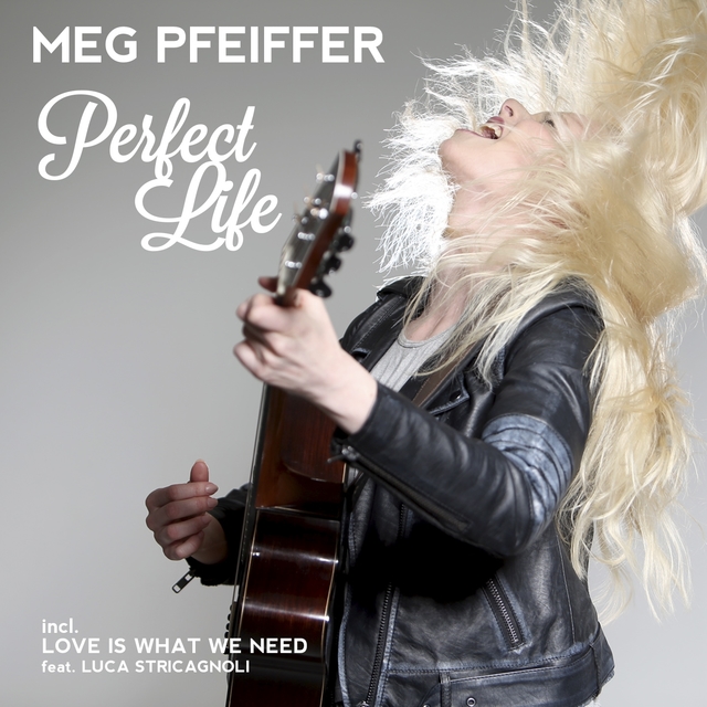 Couverture de Perfect Life