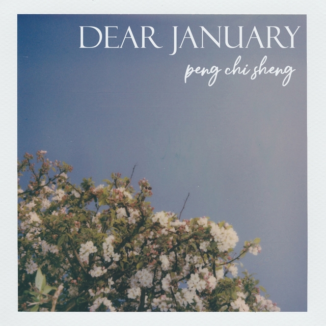 Couverture de Dear January