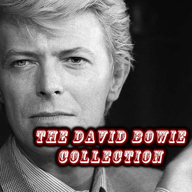 The David Bowie Collection