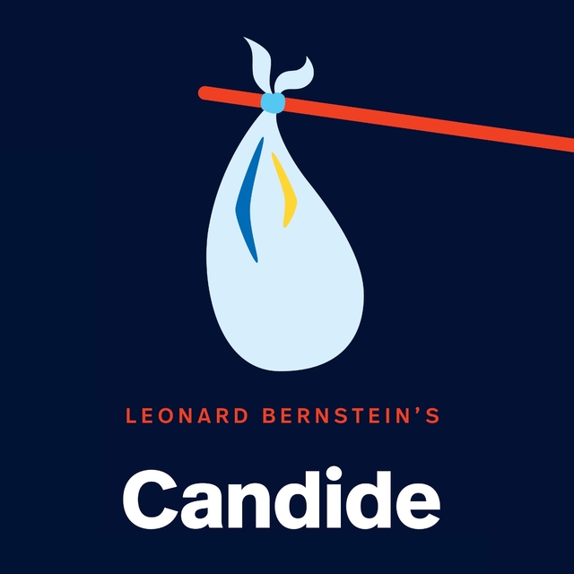 Couverture de Bernstein: Candide