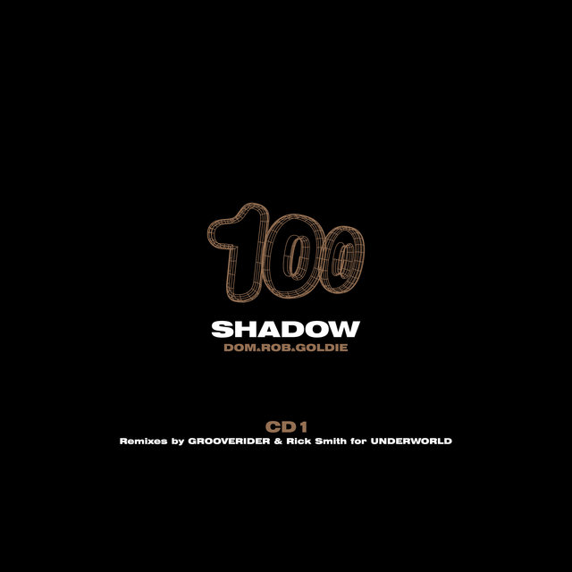 Couverture de The Shadow (Process Mix Edit) / The Shadow (Grooverider Jeep Mix Edit) / The Shadow / The Shadow (Bing Here Mix) / The Shadow (Grooverider Jeep Mix)