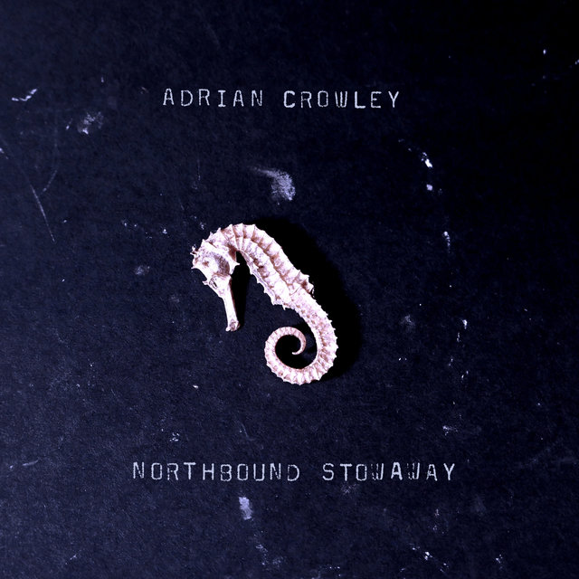 Couverture de Northbound Stowaway