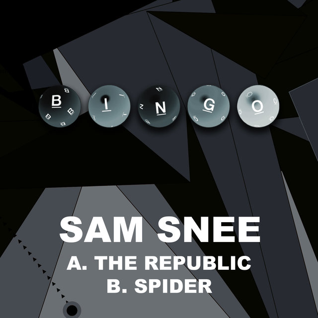 Couverture de The Republic / Spider