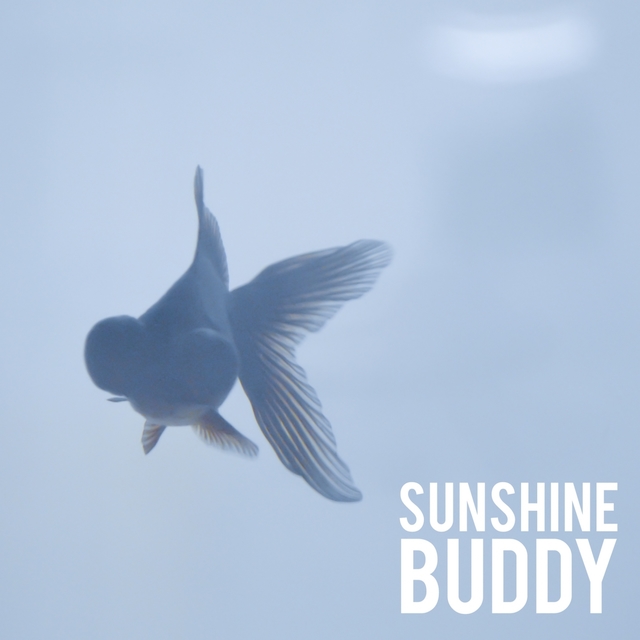 Sunshine Buddy