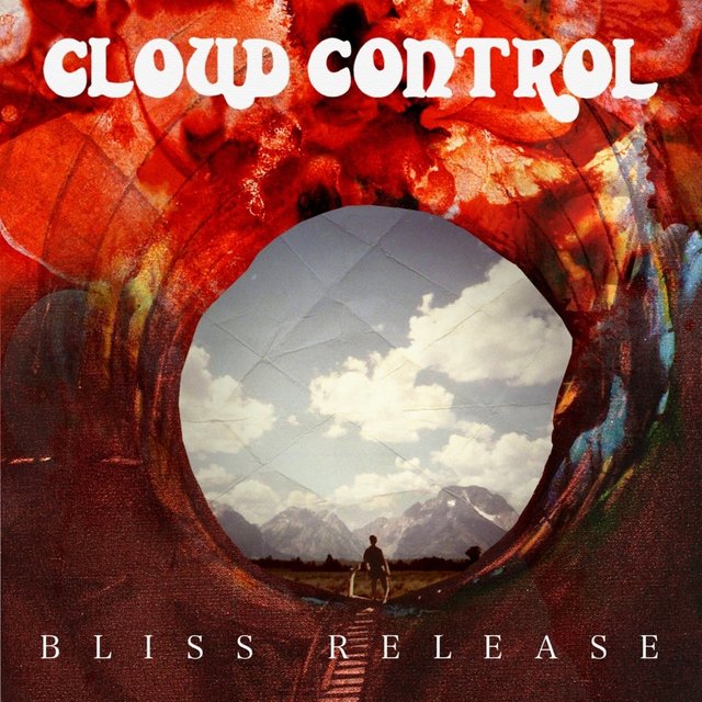 Couverture de Bliss Release