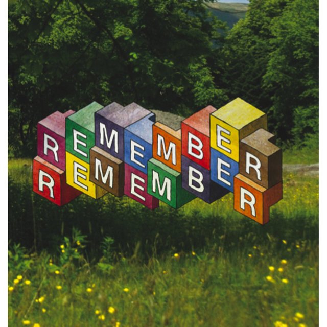 Couverture de Remember Remember