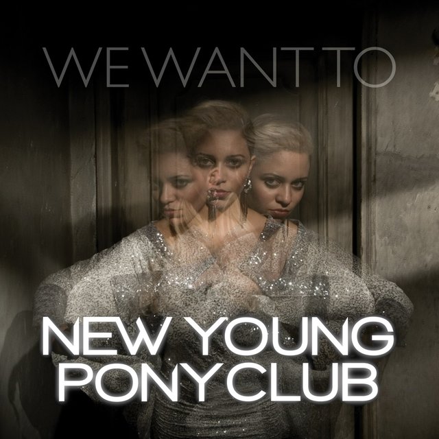 Couverture de We Want To