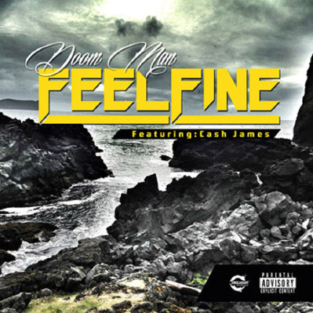 Couverture de Feel Fine