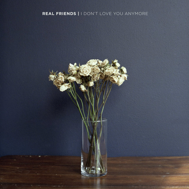 Couverture de I Don't Love You Anymore