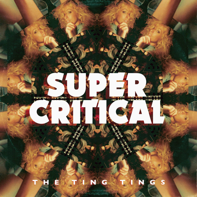 Couverture de Super Critical