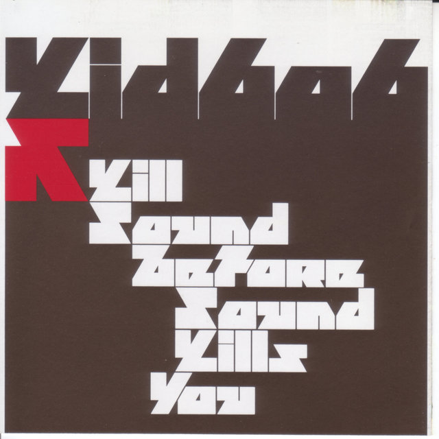 Couverture de Kill Sound Before Sound Kills You