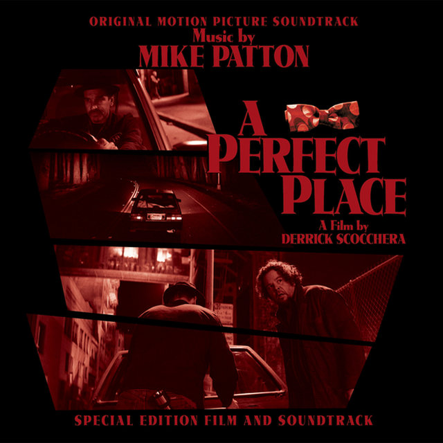 Couverture de A Perfect Place