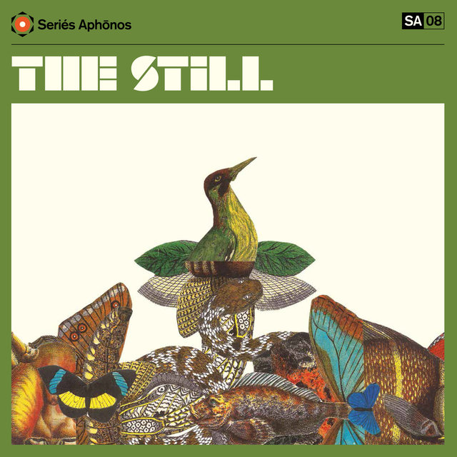 Couverture de The Still