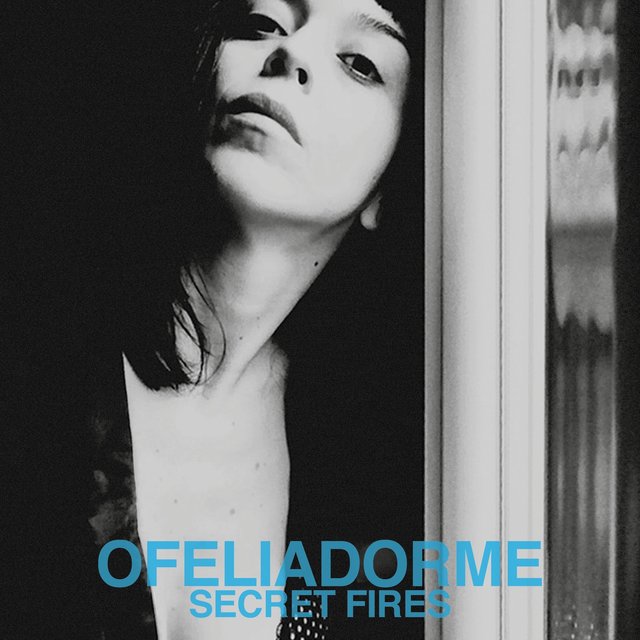 Couverture de Secret Fires