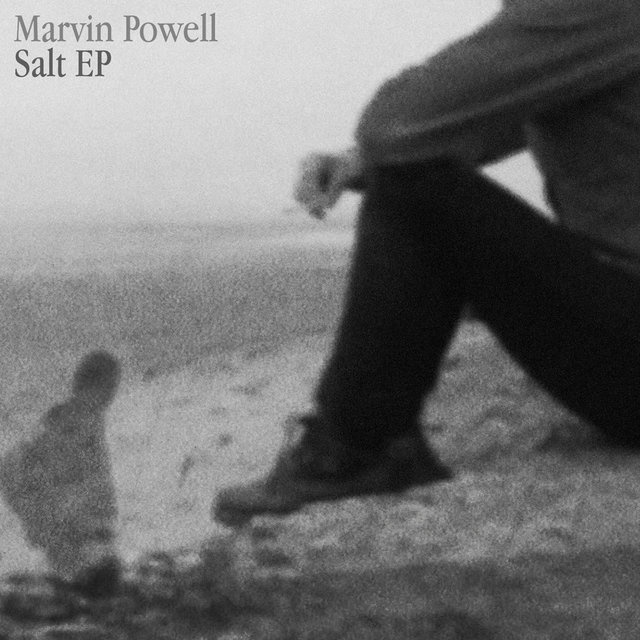 Couverture de Salt