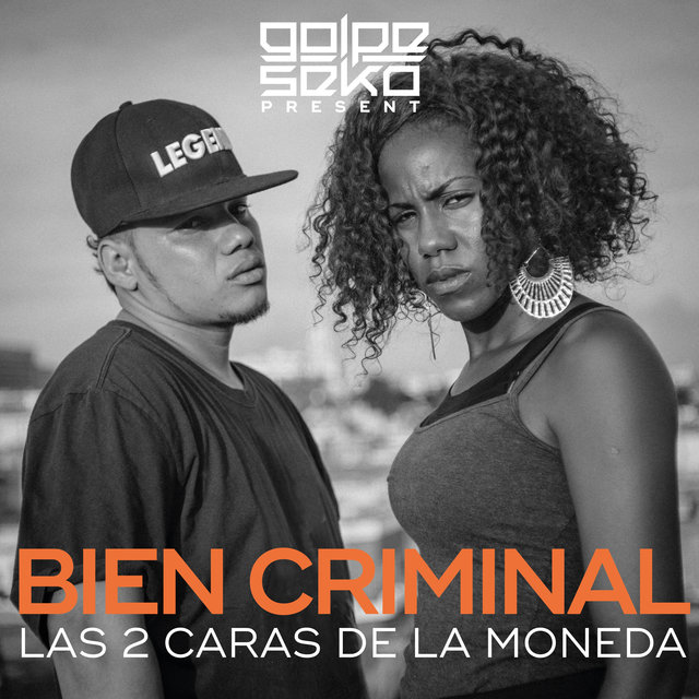 Couverture de Bien Criminal