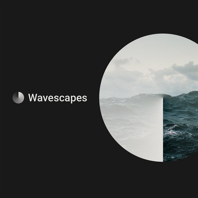 Couverture de Wavescapes