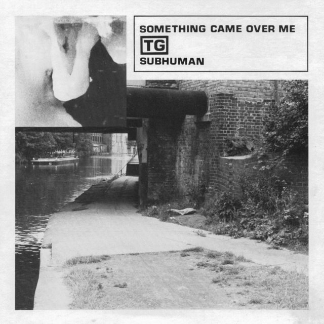 Couverture de Subhuman / Something Came Over Me