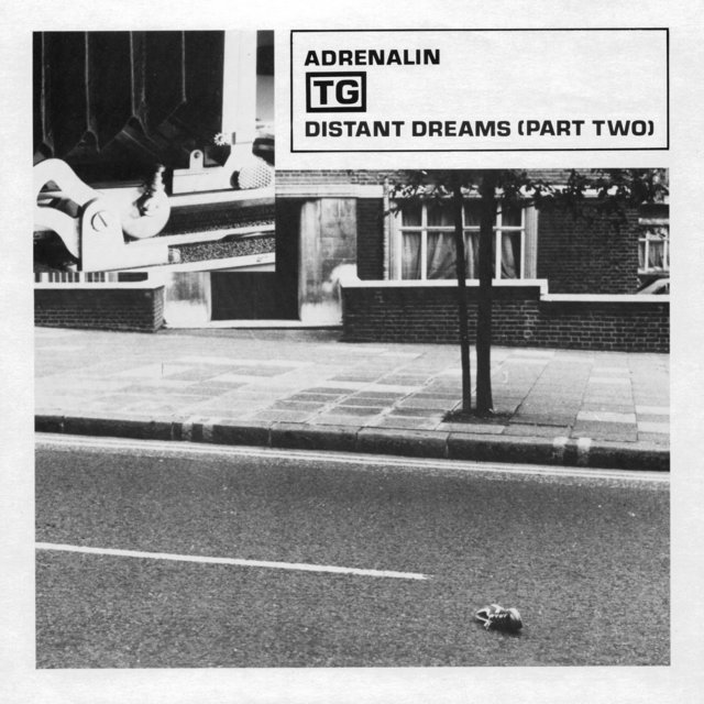 Couverture de Adrenalin / Distant Dreams, Pt. 2