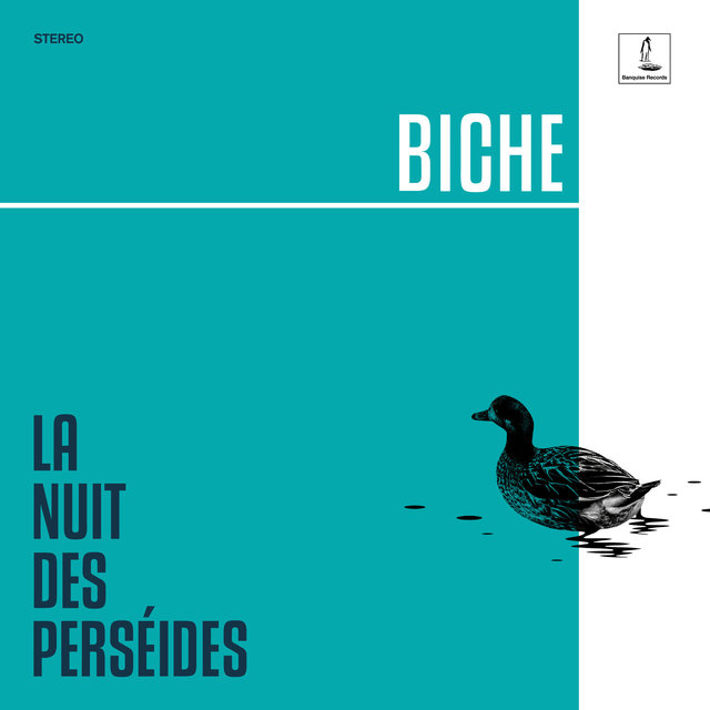 Couverture de La Nuit des Perséides