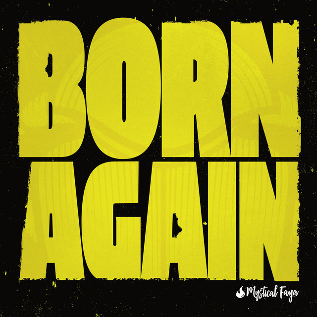 Couverture de Born Again