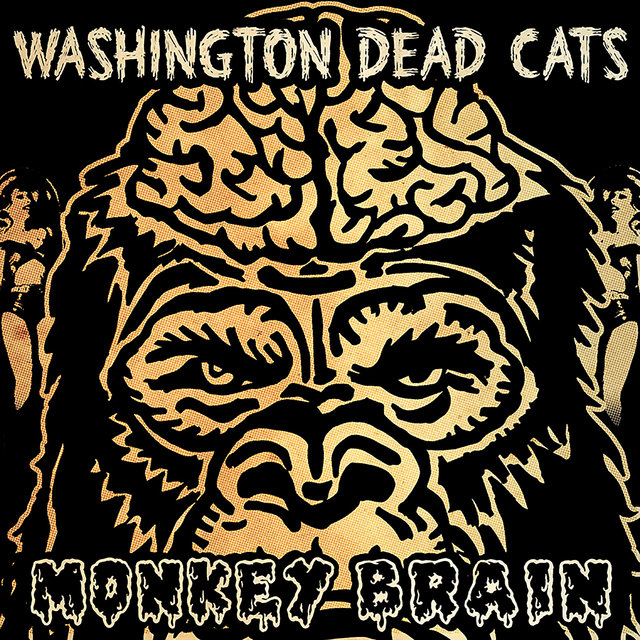 Monkey Brain