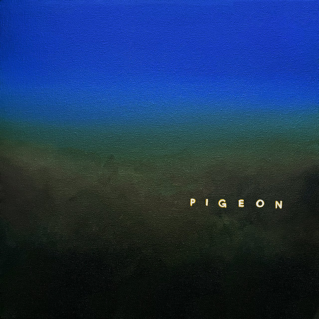 Couverture de Pigeon