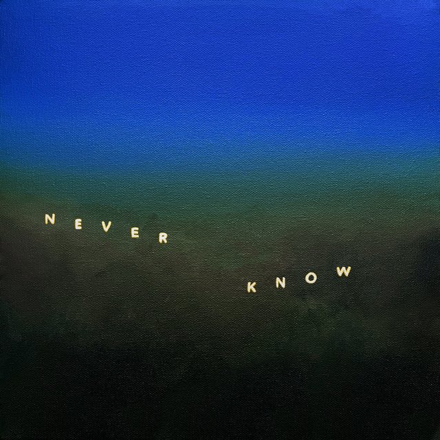 Couverture de Never Know