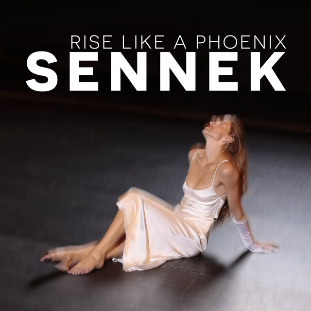 Couverture de Rise like a phoenix