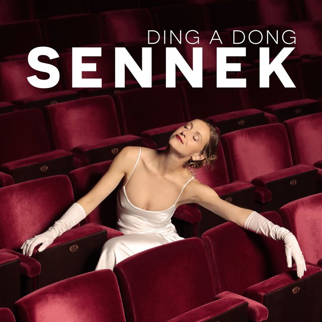 Couverture de Ding A Dong