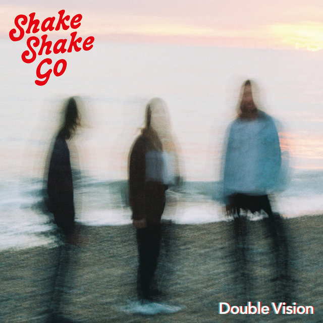 Couverture de Double Vision