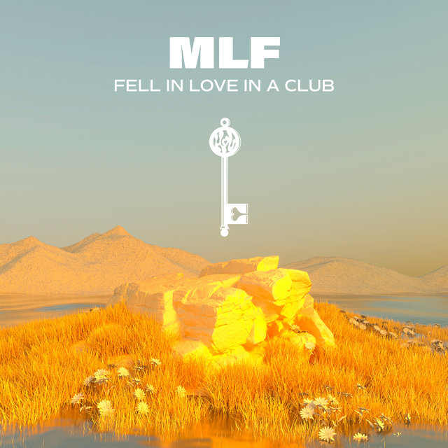 Couverture de Fell in love in a Club