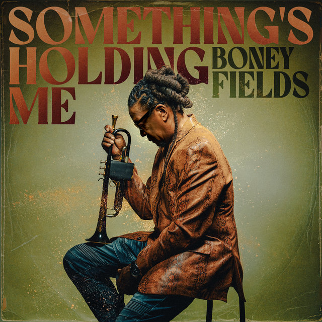 Couverture de Something's Holding Me