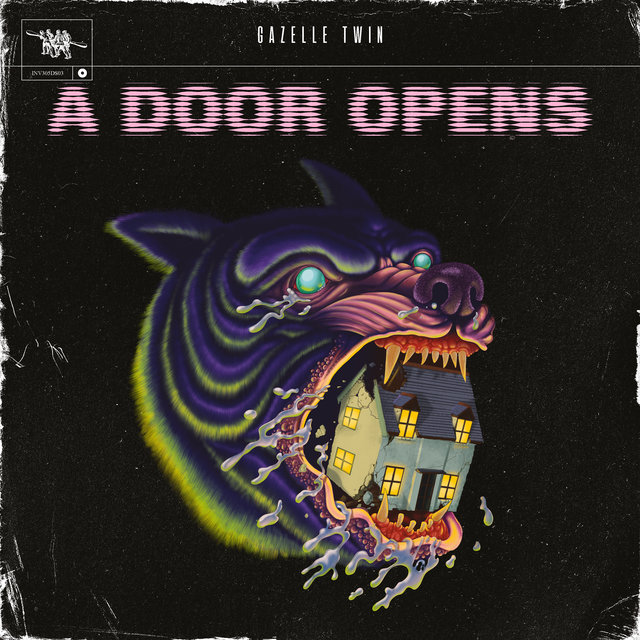 Couverture de A Door Opens