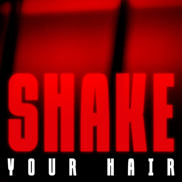 Couverture de Shake Your Hair