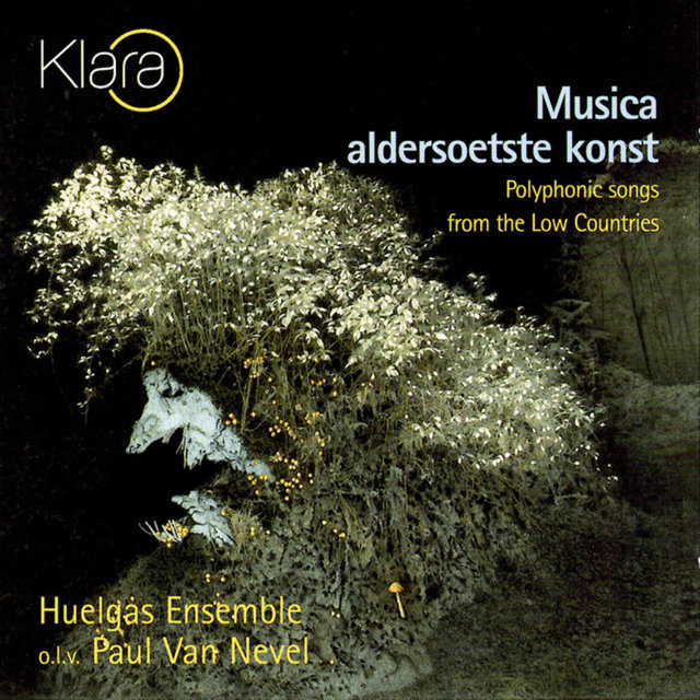 Couverture de Musica aldersoetste konst (Polyphonic songs from the Low Countries)