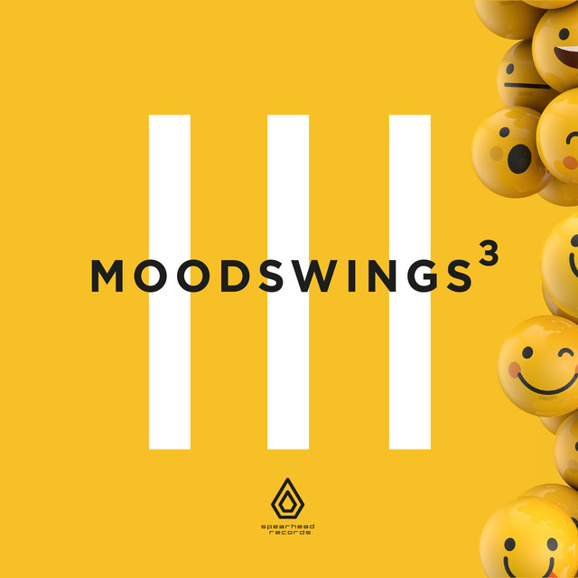 Couverture de Moodswings 3