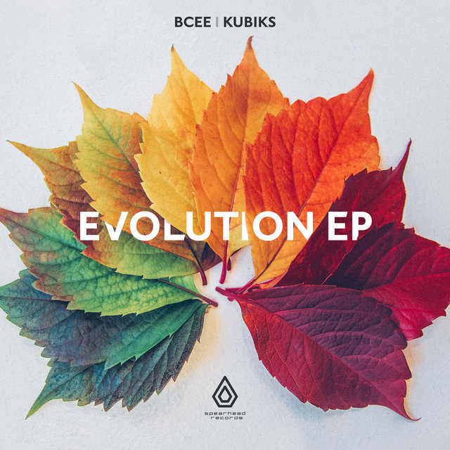 Couverture de The Evolution EP