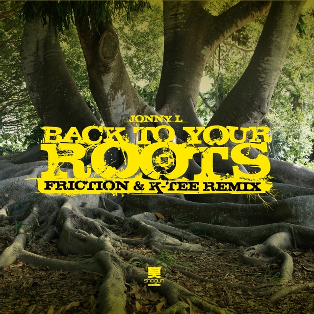 Couverture de Back to Your Roots