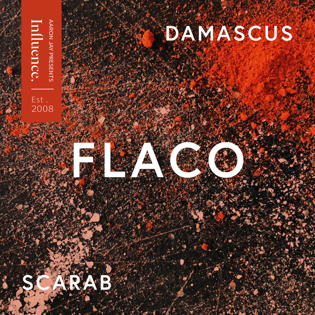 Couverture de Damascus / Scarab