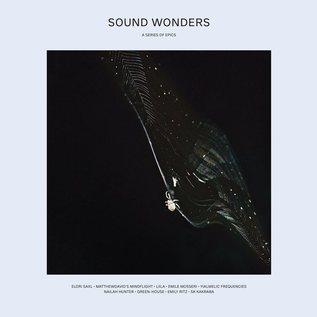 Couverture de Touchtheplants Presents Sound Wonders: A Series of Epics