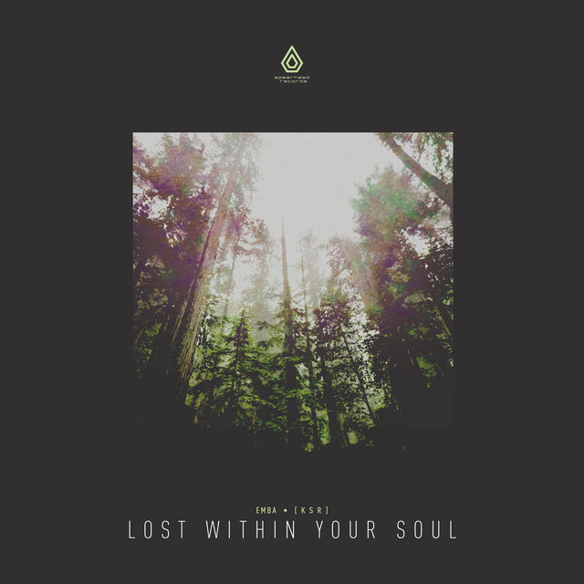 Couverture de Lost Within Your Soul