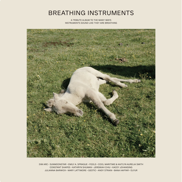 Couverture de Breathing Instruments
