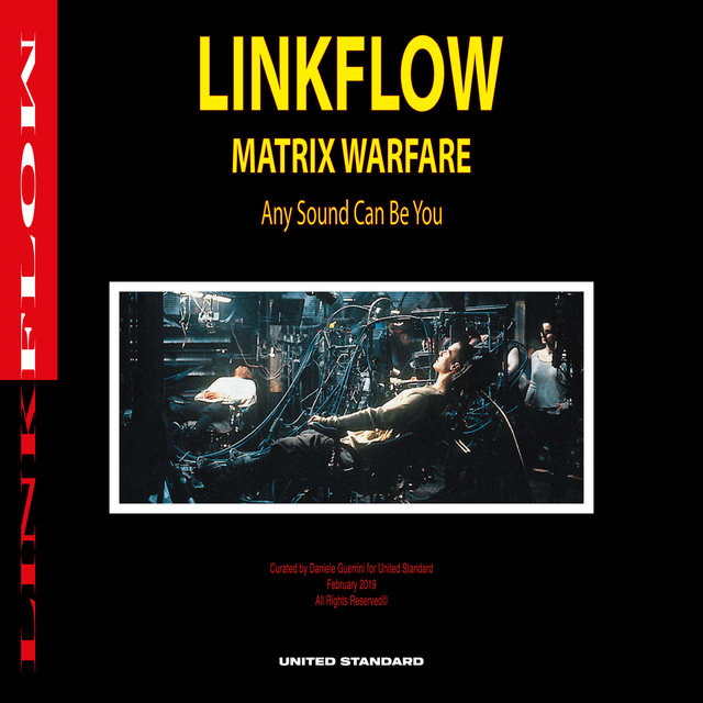 Couverture de Linkflow - Matrix Warfare