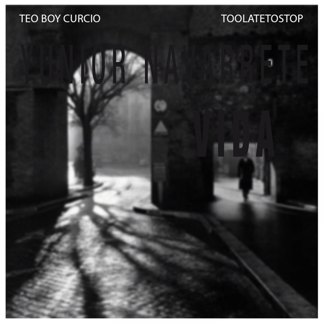 Couverture de TooLateToStop